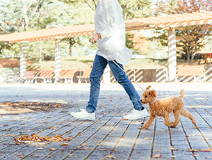 普段履きや、愛犬との散歩時などに快適にご利用になれます。